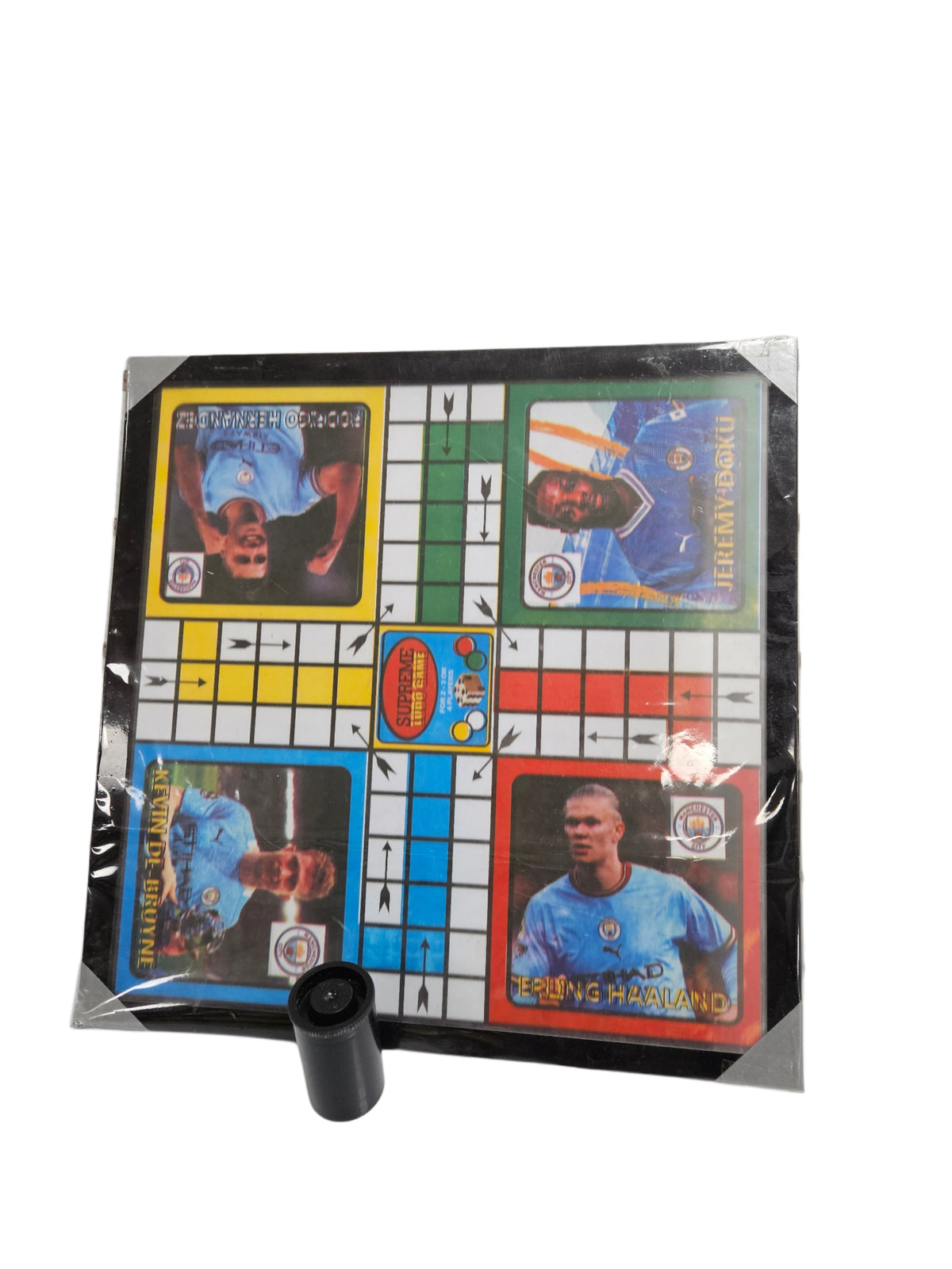 LUDO GAME WITH DICE AND SEEDS