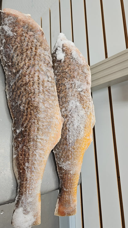 GIANT WHOLE CROAKER