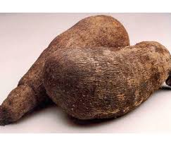 WATER YAM